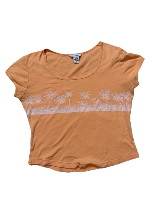 Abercrombie & Fitch Tops - Abercrombie & Fitch Vintage Orange Y2K Palm Tree Baby Tee Scoop Neck Size L